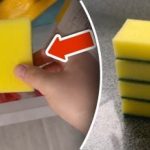Varför lägga en tvättsvamp i frysen: ett enkelt trick eliminerar